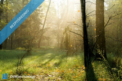 7810m2działka bud 4965m22845m2LAS - Kania Góra  -
łódzkie Zdjęcie nr 9