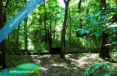 7810m2działka bud 4965m22845m2LAS - Kania Góra  -
łódzkie Zdjęcie nr 13