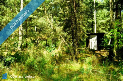 7810m2działka bud 4965m22845m2LAS - Kania Góra  -
łódzkie Zdjęcie nr 14
