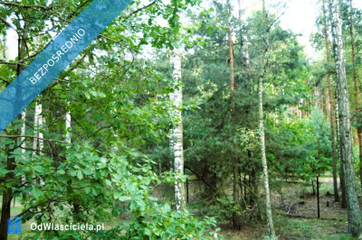 7810m2działka bud 4965m22845m2LAS - Kania Góra  -
łódzkie Zdjęcie nr 6