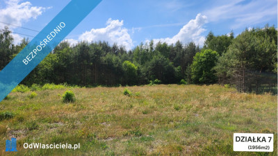 ZBOISKA KRADZIEJOWIC - DZIAŁKI BUDOWLANE PRZY LESIE ŚWIETNY DOJAZD S8 DO W-WY CENY OD 94 TYŚ ZŁ - Zboiska  -
mazowieckie Zdjęcie nr 4