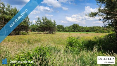 ZBOISKA KRADZIEJOWIC - DZIAŁKI BUDOWLANE PRZY LESIE ŚWIETNY DOJAZD S8 DO W-WY CENY OD 94 TYŚ ZŁ - Zboiska  -
mazowieckie Zdjęcie nr 5