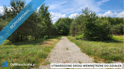 ZBOISKA KRADZIEJOWIC - DZIAŁKI BUDOWLANE PRZY LESIE ŚWIETNY DOJAZD S8 DO W-WY CENY OD 94 TYŚ ZŁ - Zboiska  -
mazowieckie Zdjęcie nr 6