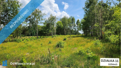 ZBOISKA KRADZIEJOWIC - DZIAŁKI BUDOWLANE PRZY LESIE ŚWIETNY DOJAZD S8 DO W-WY CENY OD 94 TYŚ ZŁ - Zboiska  -
mazowieckie Zdjęcie nr 7