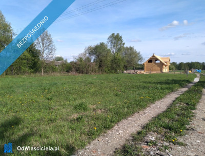 Nad Wisłą - Stare Gniewniewice  -
mazowieckie Zdjęcie nr 2