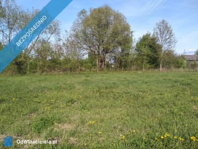 Nad Wisłą - Stare Gniewniewice  -
mazowieckie Zdjęcie nr 3