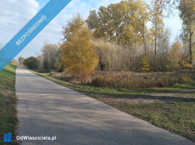 Nad Wisłą - Stare Gniewniewice  -
mazowieckie Zdjęcie nr 5
