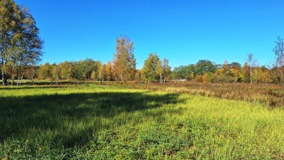Sprzedam działkę budowlaną 1005 m2 Łomianki Dąbrowa - Łomianki  - mazowieckie