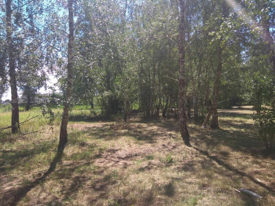 Duża działka w otulinie Kampinosu Dąbrowa  gm Łomianki - Łomianki Dolne  -
mazowieckie Zdjęcie nr 3