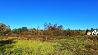 Działka w Łomiankach Dąbrowie 1880m2 - Łomianki  - mazowieckie
