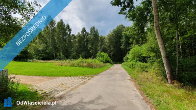 Działka budowlana z WZ   las  Rększowice gmina Konopiska 19 230 m - Rększowice  -
śląskie Zdjęcie nr 7