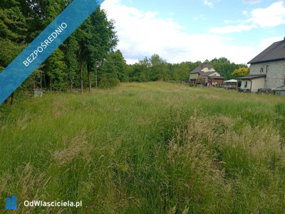 Działka z pozwoleniem na budowę Szczepanów 1124 ara 978m   udział w drodze - Szczepanów  -
małopolskie Zdjęcie nr 3