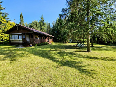 Działka rekreacyjna 1950 m2  dom 35 m2  100 metrów jezioro Głowińskie - Osetno  -
warmińsko-mazurskie Zdjęcie nr 2