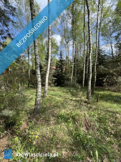 Działka z domkiem letniskowym w klimatycznym lesie - 45 min od Warszawy - Rynia  -
mazowieckie Zdjęcie nr 12