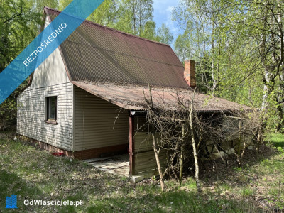 Działka z domkiem letniskowym w klimatycznym lesie - 45 min od Warszawy - Rynia  -
mazowieckie Zdjęcie nr 8