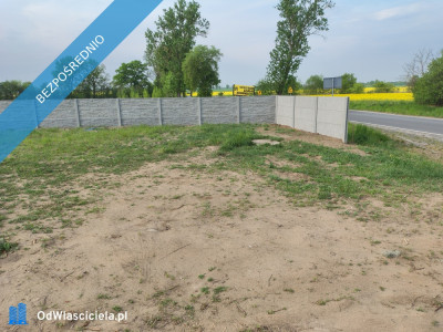 Sprzedam działkę budowlaną - Dłużyce  -
dolnośląskie Zdjęcie nr 3