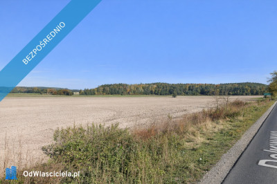 Działka o pow do 3500 m w powiecie ostrowskim Rososzyca - Rososzyca  -
wielkopolskie Zdjęcie nr 2