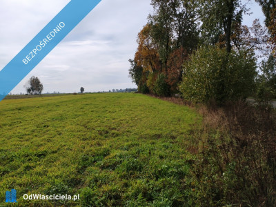 Kwadratowa działka ponad 3000 m z WZ przestrzeń cisza i inwestycja - Stawek  -
mazowieckie Zdjęcie nr 4