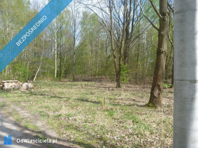 Nowa Wieś  10153 m2  miedzy Pruszkowem i Komorowem  - Nowa Wieś  -
mazowieckie Zdjęcie nr 3