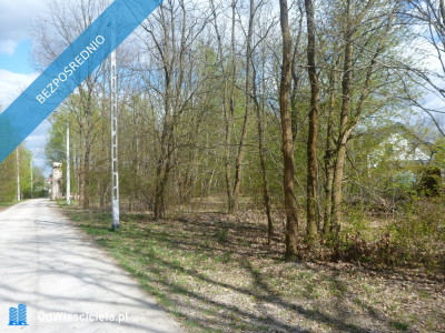 Nowa Wieś  10153 m2  miedzy Pruszkowem i Komorowem  - Nowa Wieś  -
mazowieckie Zdjęcie nr 4