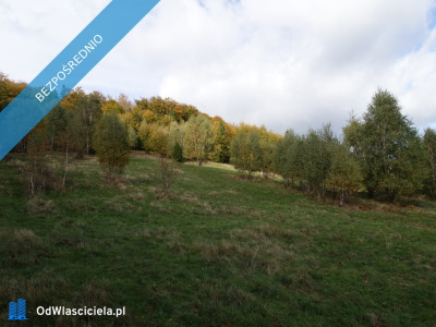 Brenna 253 ha działka pod pensjonaty domki letniskowe - Skoczów  -
śląskie Zdjęcie nr 9