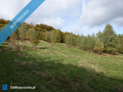 Brenna 253 ha działka pod pensjonaty domki letniskowe - Skoczów  -
śląskie Zdjęcie nr 14