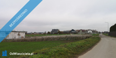 475   170 m2 z pozwoleniem na budowę - Rogierówko  -
wielkopolskie Zdjęcie nr 4
