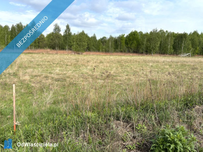 Działka z warunkami zabudowy  Pustelnik 37 km od Warszawy - Pustelnik  - mazowieckie