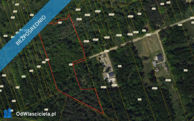 Rększowice  Leśna enklawa 177 ha z łąką  blisko Częstochowy - Rększowice  - śląskie
