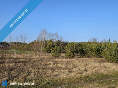 Działka rekreacyjna 1500m - Stary Strachocin  - mazowieckie