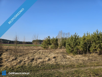 Działka rekreacyjna 1500m - Stary Strachocin  -
mazowieckie Zdjęcie nr 3