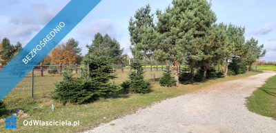 1679mkw- 87złmkw - Szczecno  -
świętokrzyskie Zdjęcie nr 4