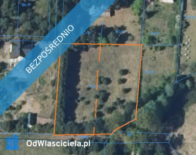 Działka w lesie - Kuby-Młyny  - świętokrzyskie