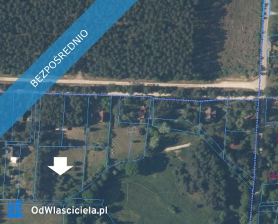 Działka w lesie - Kuby-Młyny  -
świętokrzyskie Zdjęcie nr 3