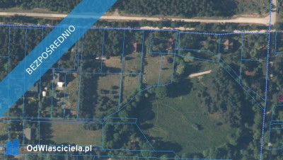 Działka w lesie - Kuby-Młyny  -
świętokrzyskie Zdjęcie nr 6