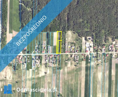 2 działki przy lesie blisko Hańczy - Życiny  -
świętokrzyskie Zdjęcie nr 7