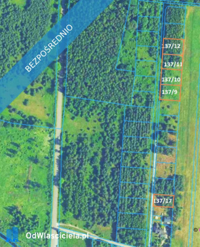 25 km od Kielc uzbrojona w otoczeniu lasów - Szczecno  - świętokrzyskie