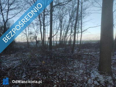 Nowa cena Piękna działka widokowa blisko Stolicy zapraszam do zobaczenia na żywo -    -
mazowieckie Zdjęcie nr 5