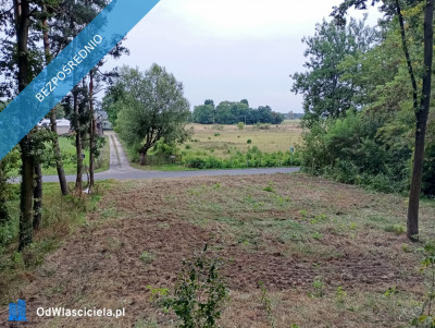 Nowa cena Piękna działka widokowa blisko Stolicy zapraszam do zobaczenia na żywo - Popowo Kościelne  -
mazowieckie Zdjęcie nr 7