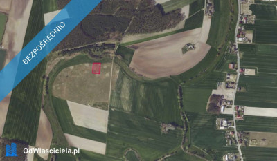Działka 1287 w Bystrzku -    -
wielkopolskie
