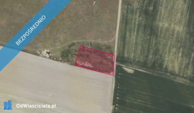 Działka 1317 w Bystrzku -    -
wielkopolskie