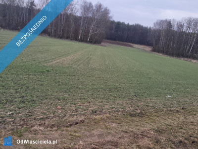 Działka rolno-budowlana  -    -
mazowieckie