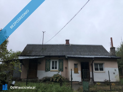 SPRZEDAM SIEDLISKO W LESIE -    -
mazowieckie