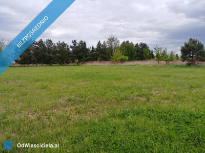 Działa budowlana 1000 m2 -    -
mazowieckie Zdjęcie nr 7
