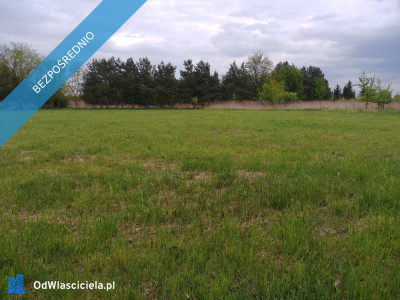 Działa budowlana 1000 m2 -    -
mazowieckie Zdjęcie nr 8