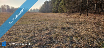 Sprzedam działkę budowlaną Stara Wieś gm Rząśnik powiat wyszkowski mazowieckie -    -
mazowieckie Zdjęcie nr 10