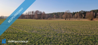 Sprzedam działkę budowlaną Stara Wieś gm Rząśnik powiat wyszkowski mazowieckie -    -
mazowieckie Zdjęcie nr 11
