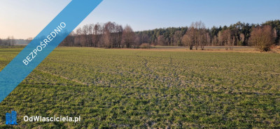 Sprzedam działkę budowlaną Stara Wieś gm Rząśnik powiat wyszkowski mazowieckie -    -
mazowieckie Zdjęcie nr 2