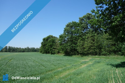 Skoczów Ochaby 57ar dzialka rolna nadaje sie pod rekreacje  -    -
śląskie