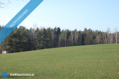 Sprzedam działkę rekreacyjną w Żmijewku niedaleko Jez Wysokie Brodno -    -
kujawsko-pomorskie Zdjęcie nr 4